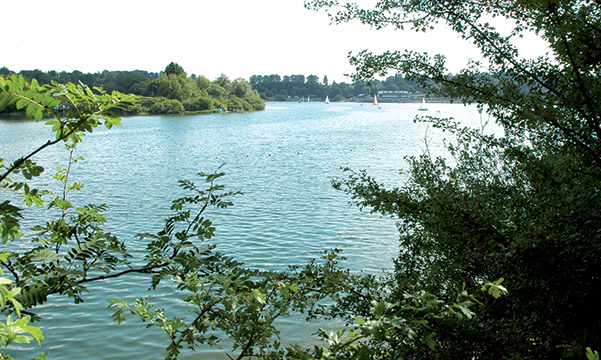 ROSEN-Eifel-Ardennen5.jpg